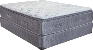 Cararra Plush Pillow Top