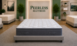 Cararra Super Plush Pillow Top